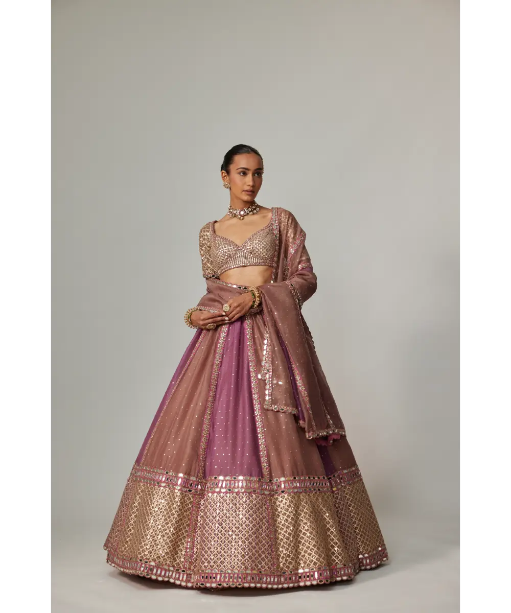 VVANI VATS - Mud mauve multicolor Sequin Scatter Lehenga with Elbow Sleeve Blouse